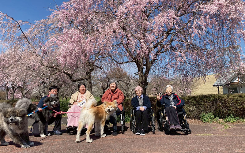 一関 桜イベント