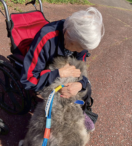 一関 桜イベント