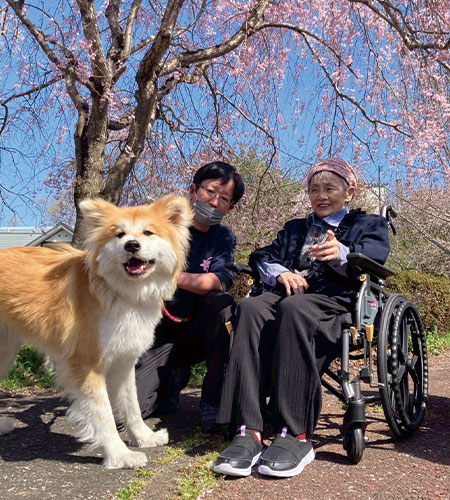 一関 桜イベント