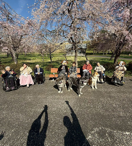 一関 桜イベント