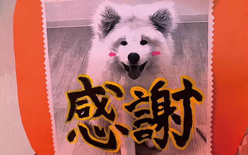 5月イベント開催しました