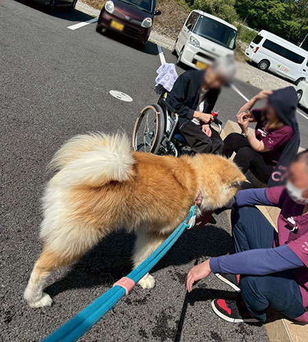 彦根宇尾の日常をご紹介します
