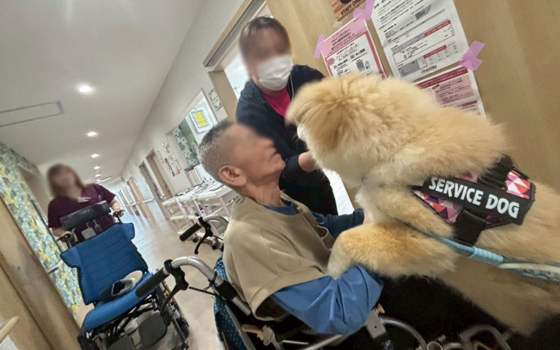 彦根宇尾の日常をご紹介します