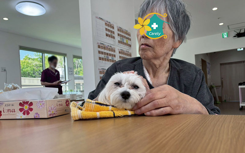 彦根宇尾の日常をご紹介します