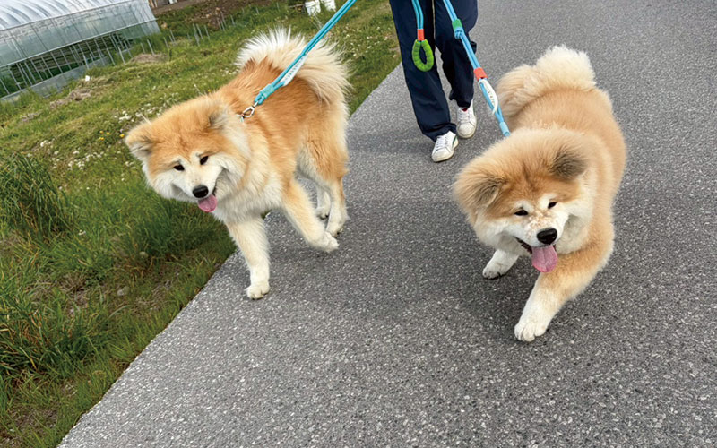 彦根宇尾の日常をご紹介します