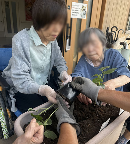 野菜の苗植えを行いました。
