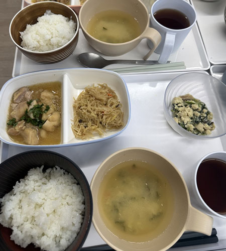 野菜の苗植えを行いました。