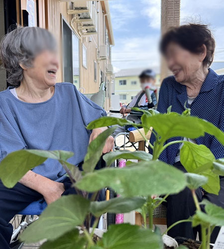 野菜の苗植えを行いました。