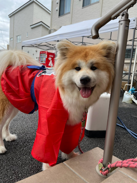 ケアリー岩手一関の夏祭り