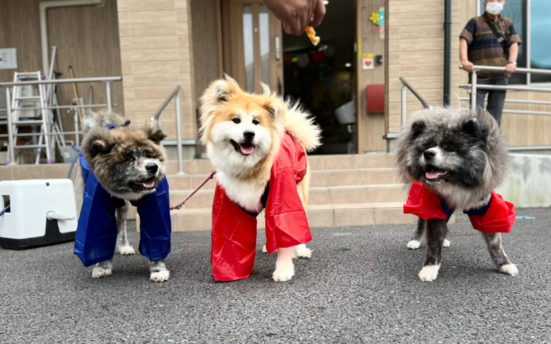 ケアリー岩手一関の夏祭り