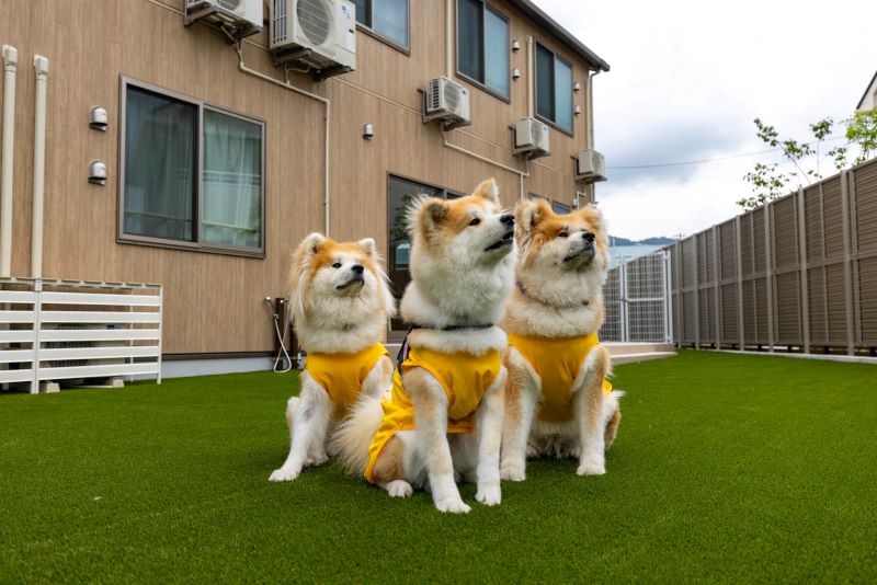 ナーシングホームケアリー甲府荒川
